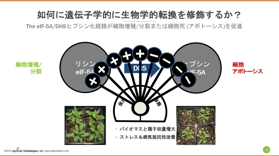 遺伝子学的に生物学的転換を修飾