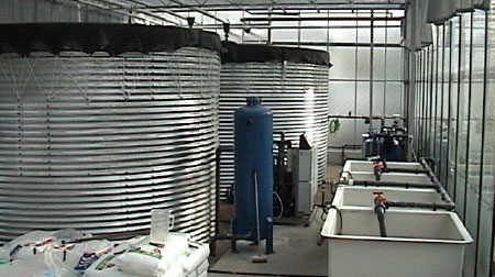 MIKAN有機ファーム