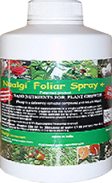 ニューアルジーFS