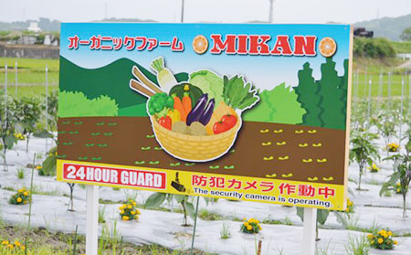 MIKAN有機ファーム